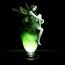 Absinthe-green-fairy-drink